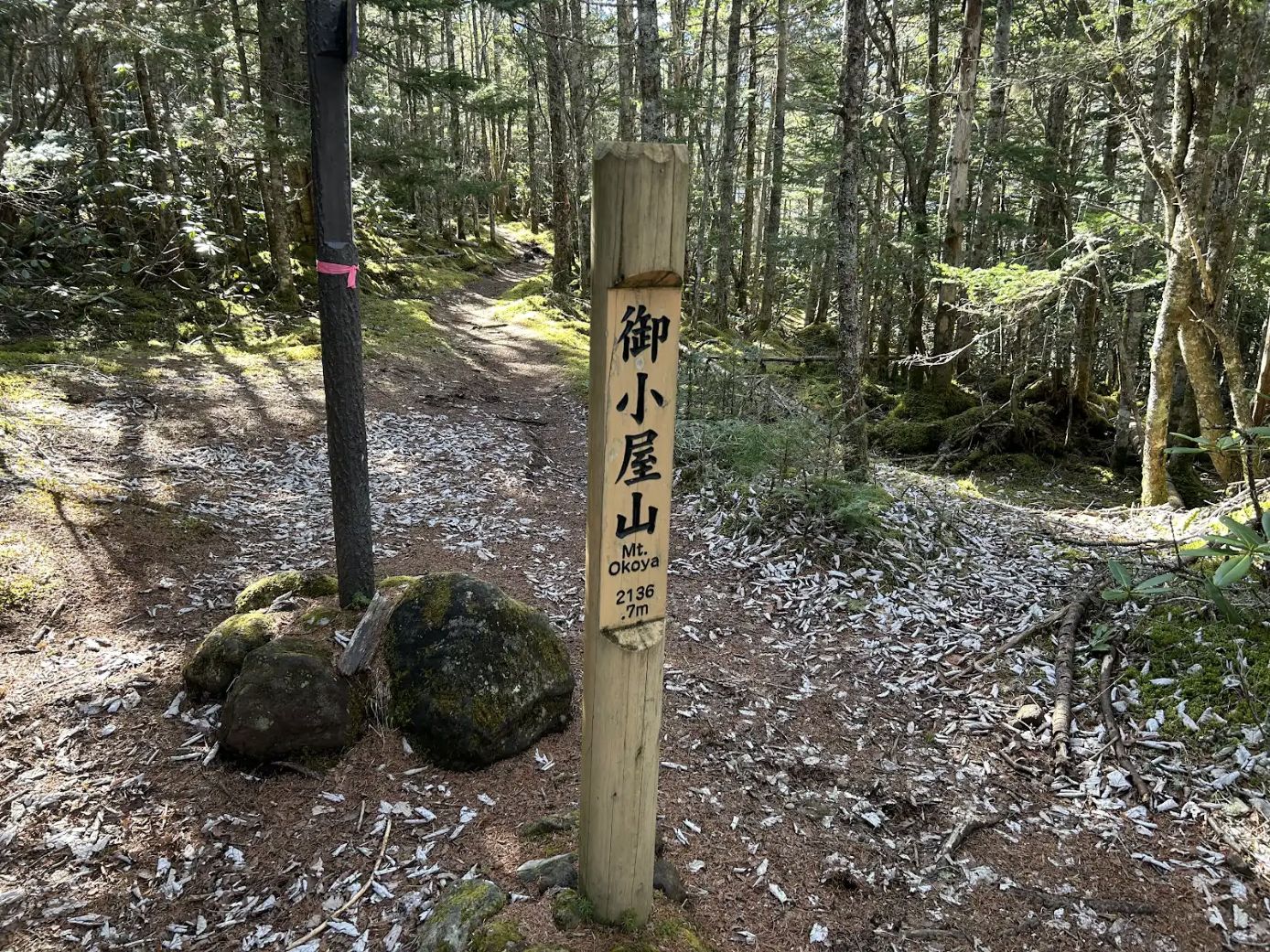御小屋山の標識と森の登山道